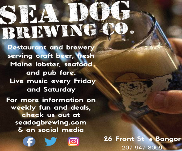 sea dog brewing company restaurant and brewery digital ad