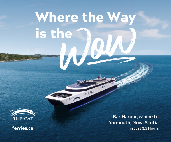 where the way is the wow the cat ferry digital ad
